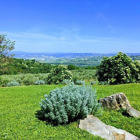 Agriturismo Podere Prataccio Grosseto Exteriér fotografie