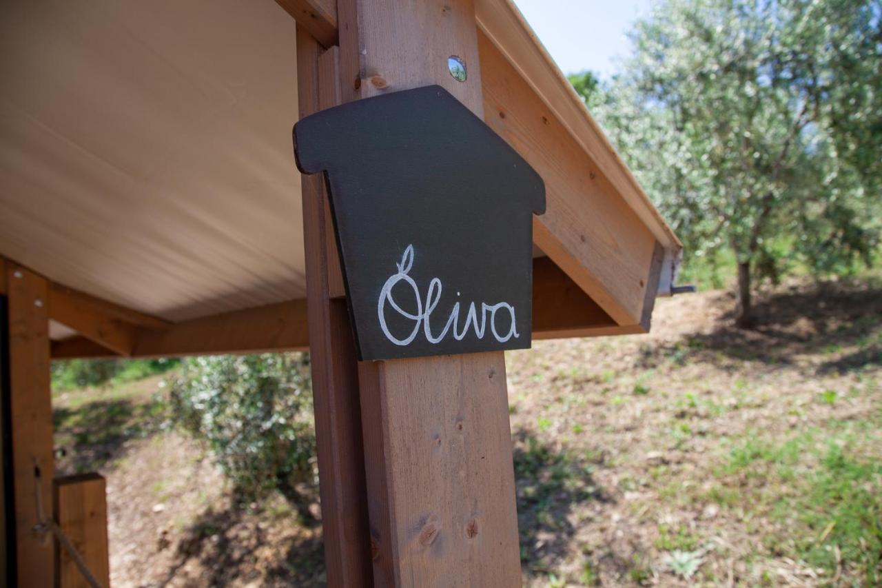 Agriturismo Podere Prataccio Grosseto Exteriér fotografie