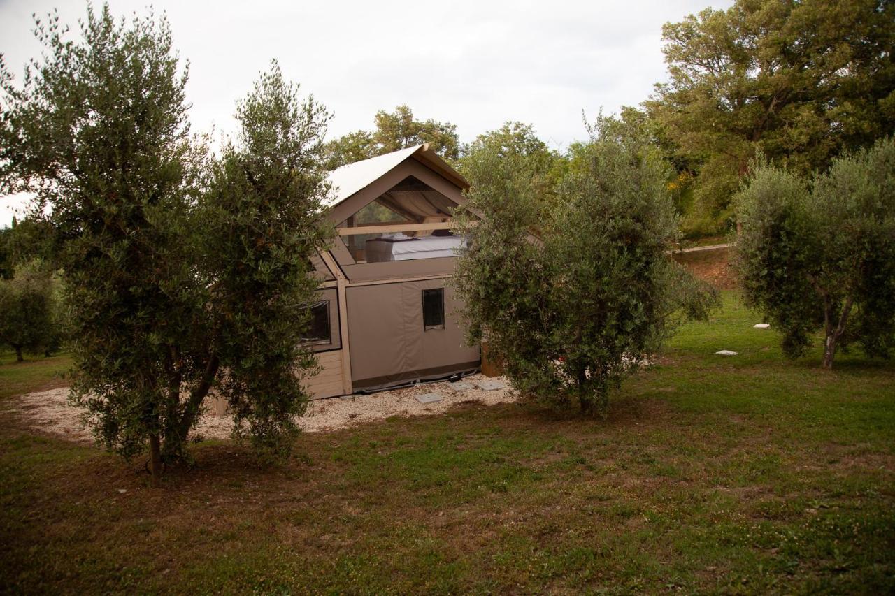 Agriturismo Podere Prataccio Grosseto Exteriér fotografie